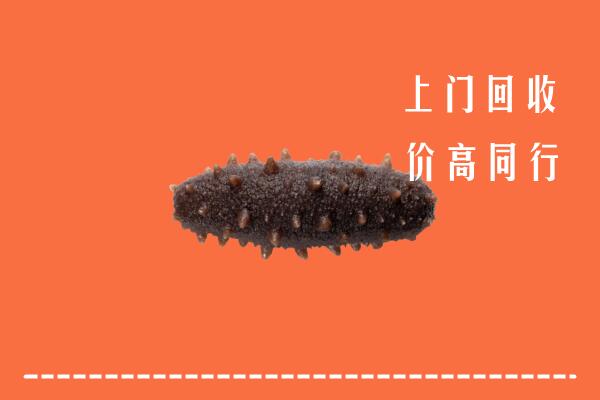 高价求购：沂南县回收海参