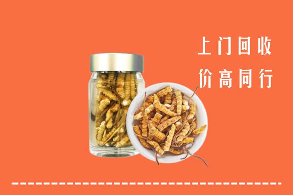 沂南县回收冬虫夏草