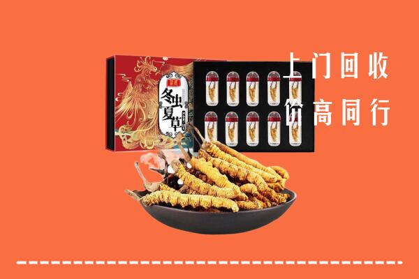沂南县回收虫草